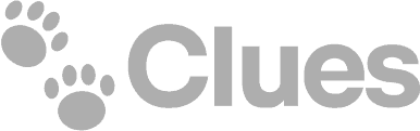 clues-2.png